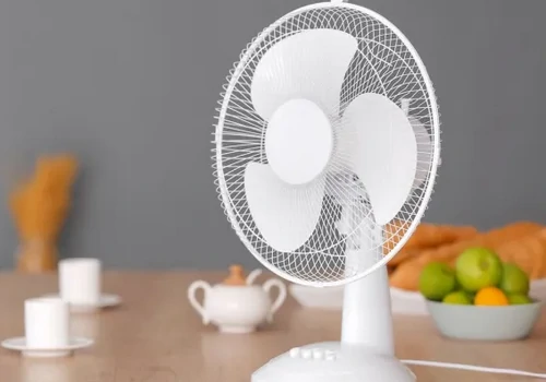 Conserto de Ventilador Japurá